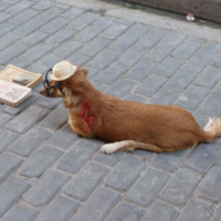 2014-04-06_Kuba_016
