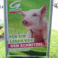 2014-05-11_Salzburg_003