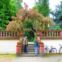 2016-05-23_Mainz_006