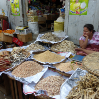 2017-03_09_Myanmar_012