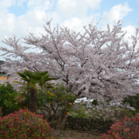 2018-04-01_Suedkorea_02900