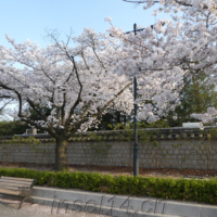 2018-04-03_Suedkorea_03600