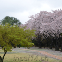 2018-04-04_Suedkorea_02800