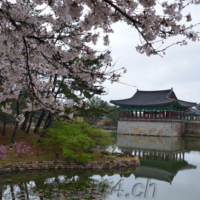 2018-04-04_Suedkorea_03000