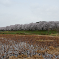 2018-04-06_Suedkorea_00300