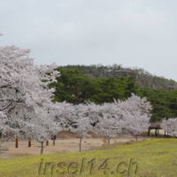 2018-04-06_Suedkorea_01200