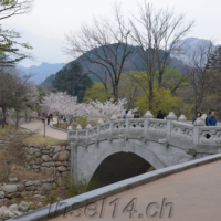 2018-04-07_Suedkorea_00900