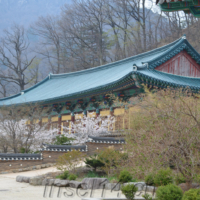 2018-04-07_Suedkorea_01200