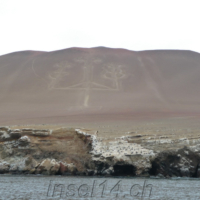 2019-06-23_Peru_00300