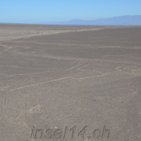 2019-06-23_Peru_02000