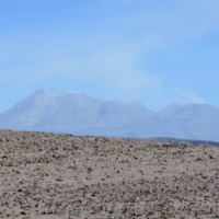 2019-06-26_Peru_01300