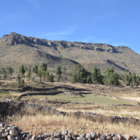 2019-06-26_Peru_01800