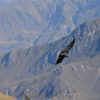 2019-06-27_Peru_00600