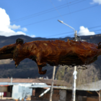 2019-06-29_Peru_01200