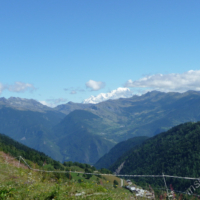 2010-08-31_Napoleon_003