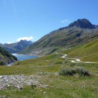 2010-08-31_Napoleon_014