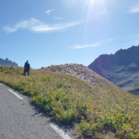 2010-09-04_Napoleon_003