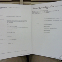 2012-03-08_VNM-N_002