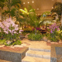 2012-03-08_VNM-N_003