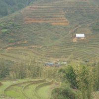 2012-03-10_VNM-N_008