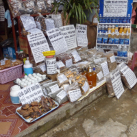 2012-03-10_VNM-N_010