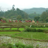 2012-03-11_VNM-N_002