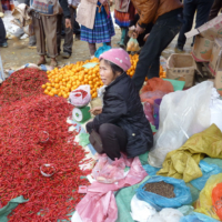 2012-03-11_VNM-N_004
