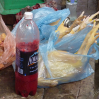 2012-03-11_VNM-N_010