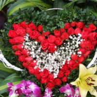 2012-03-14_VNM-N_014