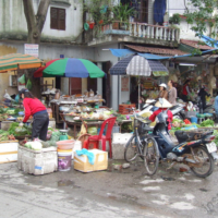 2012-03-14_VNM-N_023