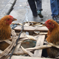 2012-03-14_VNM-N_028