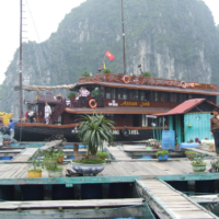 2012-03-15_VNM-N_019