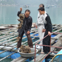 2012-03-15_VNM-N_020
