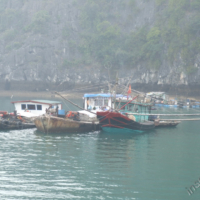 2012-03-15_VNM-N_022