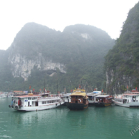 2012-03-15_VNM-N_023