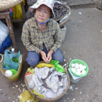 2012-03-16_VNM-Z_007