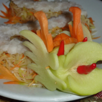 2012-03-16_VNM-Z_019