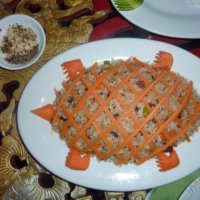2012-03-16_VNM-Z_021