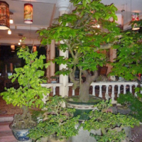 2012-03-16_VNM-Z_022