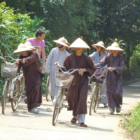 2012-03-17_VNM-Z_016