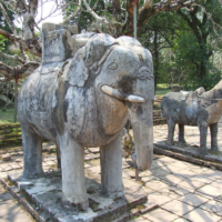 2012-03-17_VNM-Z_034