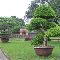 2012-03-17_VNM-Z_048