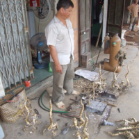 2012-03-17_VNM-Z_049
