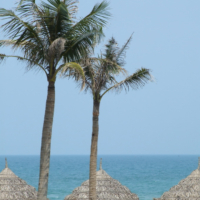 2012-03-18_VNM-Z_019