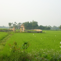 2012-03-19_VNM-Z_002