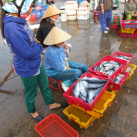 2012-03-19_VNM-Z_004