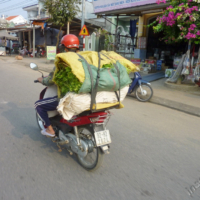 2012-03-19_VNM-Z_005