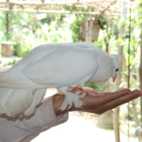 2012-03-19_VNM-Z_024