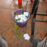2012-03-20_VNM-S_016