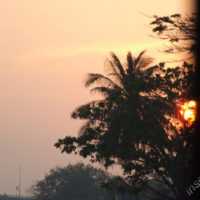 2012-03-21_VNM-S_001
